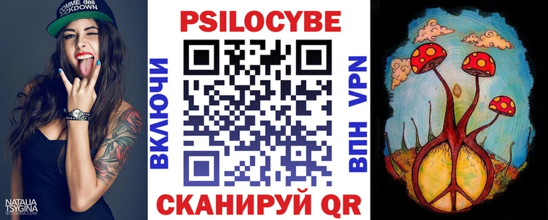 Купить закладки  Новоалтайск  Галлюциногенные грибы мицелий 