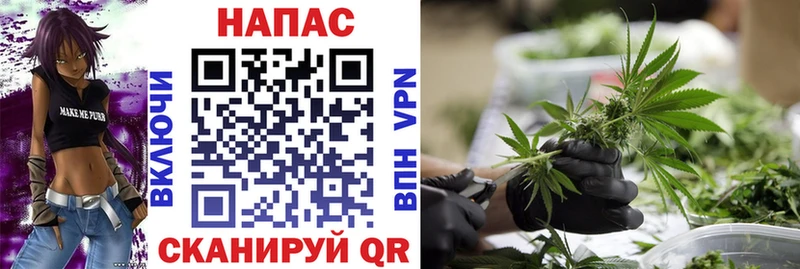 Купить закладки  Новоалтайск  Конопля индика 